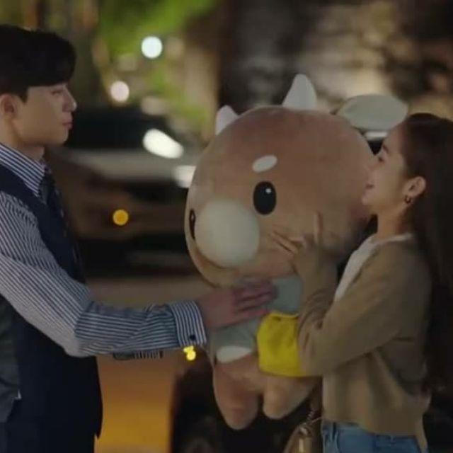 Bò Chăm chỉ khổ 90cm