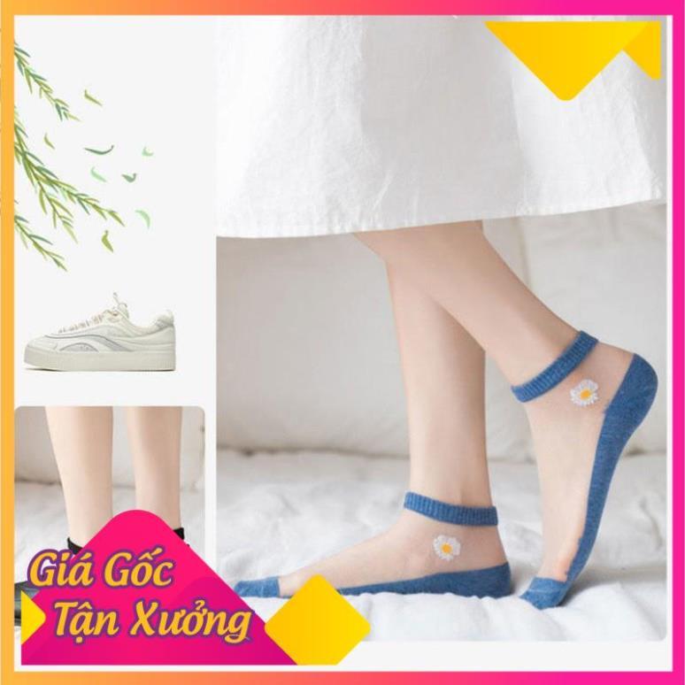 Tất Nữ Lưới Hình Hoa Cúc Nhiều Màu FREESHIP  TP'S