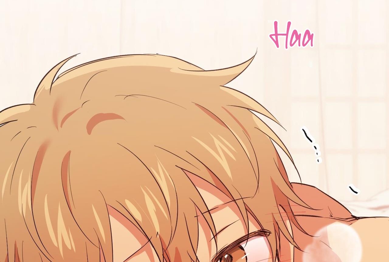 đàn thỏ của habibi chapter 64 38