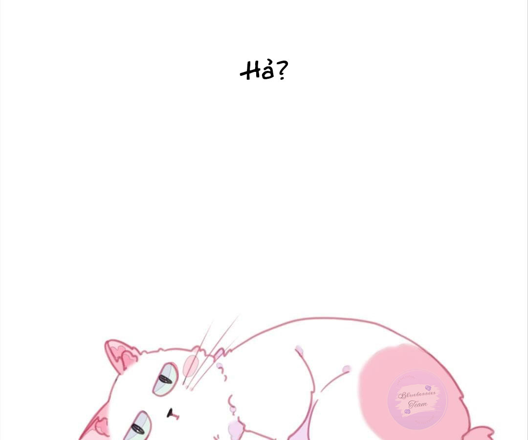 social cat chapter 1 16