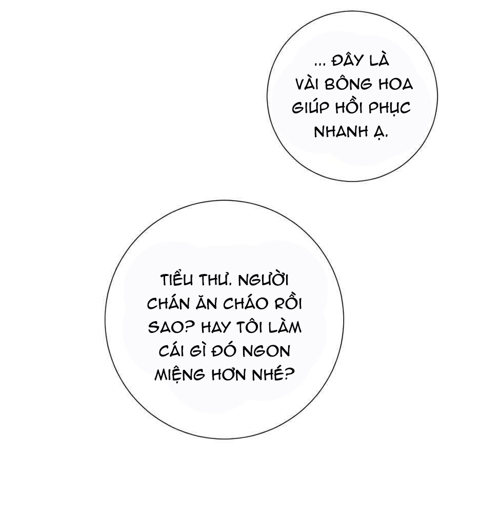 cô chủ và người hầu chapter 28 26