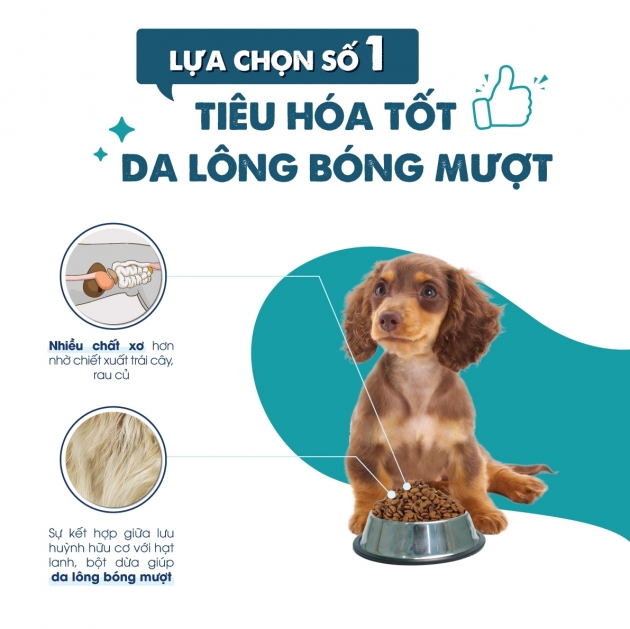 [5KG ]- Thức ăn cho chó TODAY'S DINNER nhập khẩu Hàn Quốc