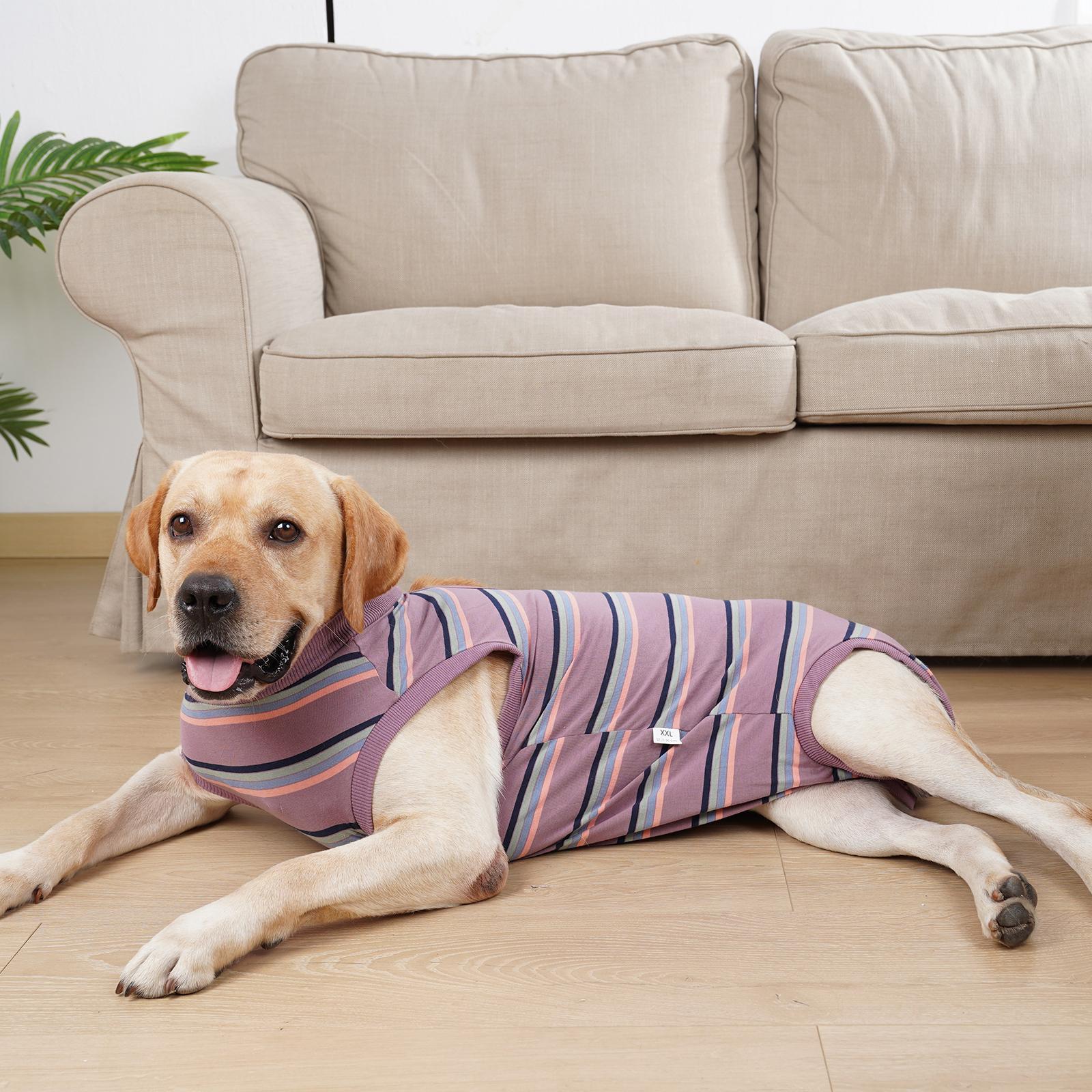 Pet Physiological Clothes Pet Supplies Breathable Nappy Jacket Dog Clothes