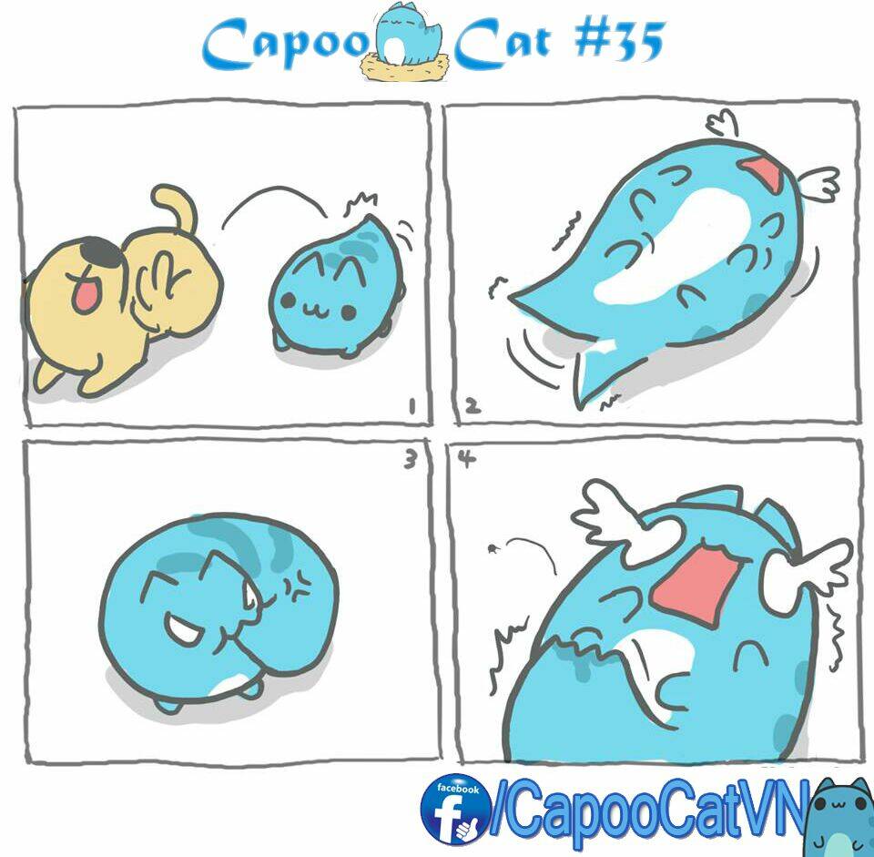 capoo cat chapter 4 5