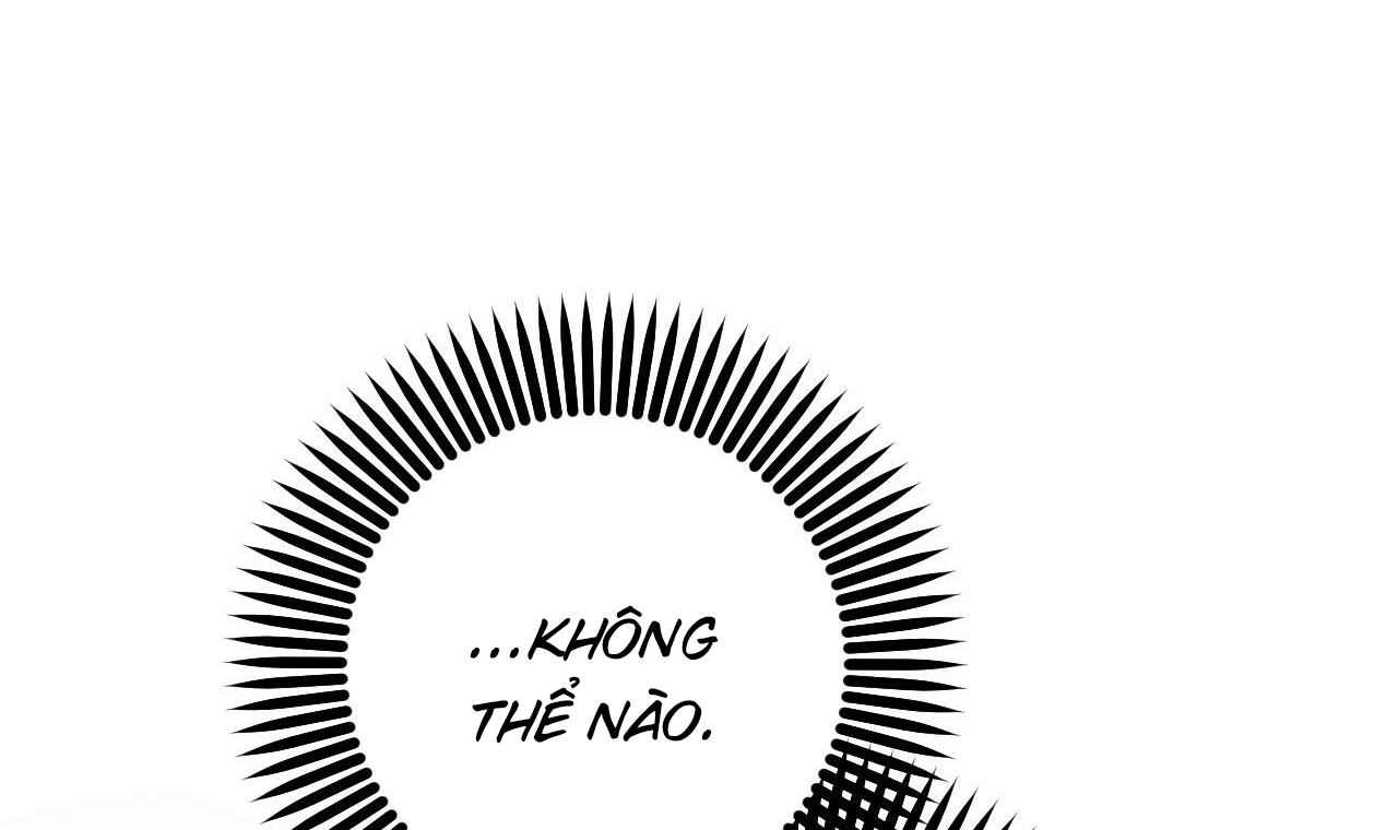 những chú thỏ của hapypy chapter 56 31