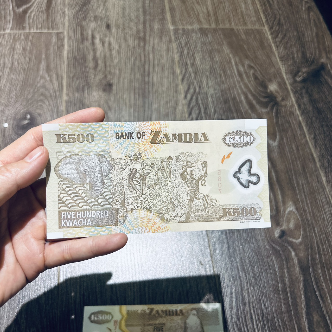 (P)Sưu Tầm/Lì Xì Tết /Qùa tặng 1 tờ 500 Đồng Zambia