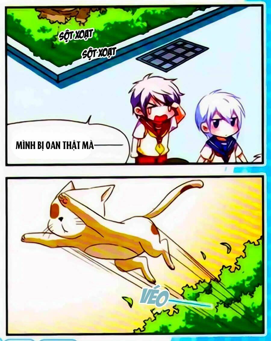 manh tam quốc chapter 98 19