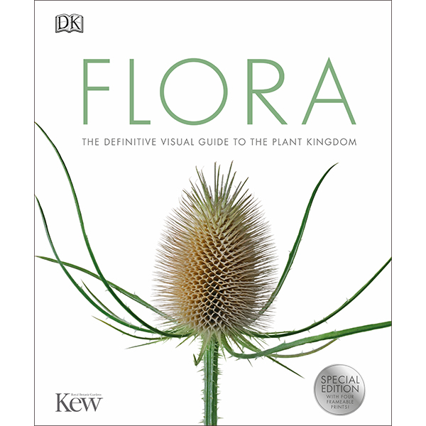 Flora