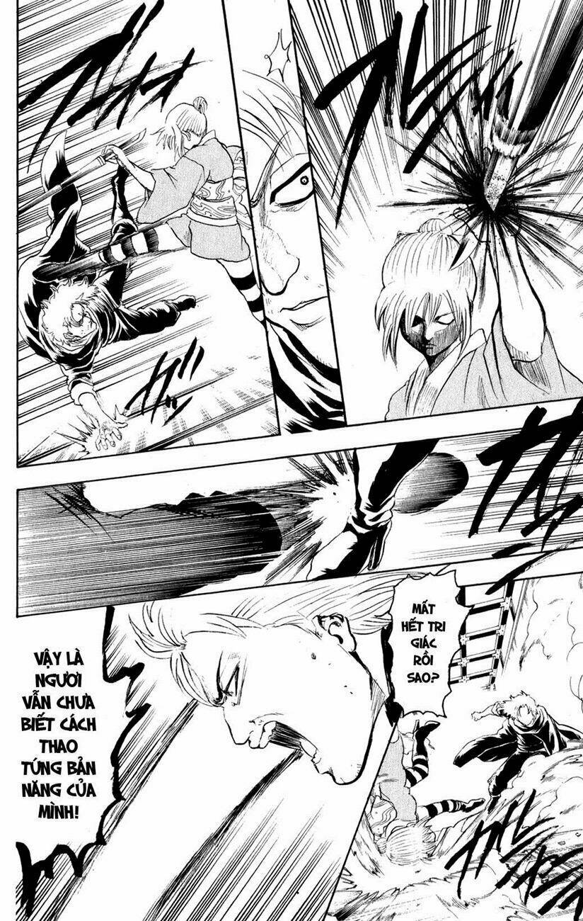 gintama - linh hồn bạc chapter 219 12