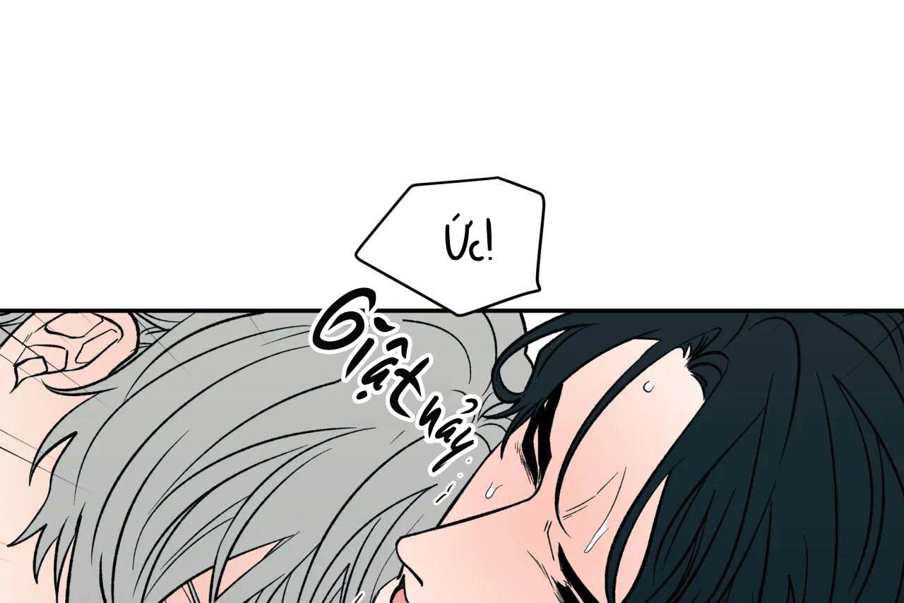 ám ảnh pheromone chapter 55 60