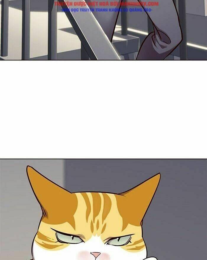 biến thân thành mèo chapter 52 37