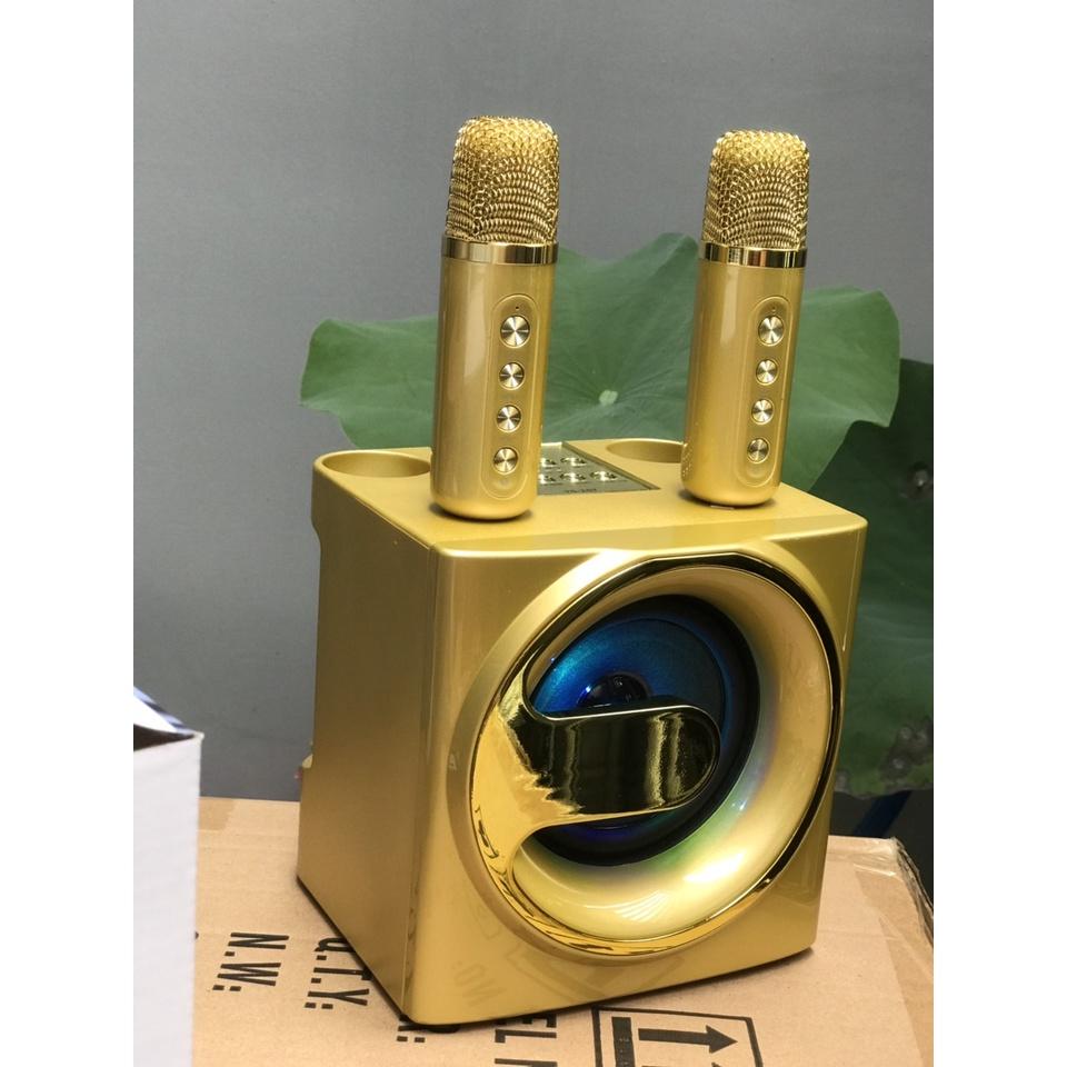 Loa Bluetooth Karaoke Su-Yord YS207 kèm 2 micro không dây