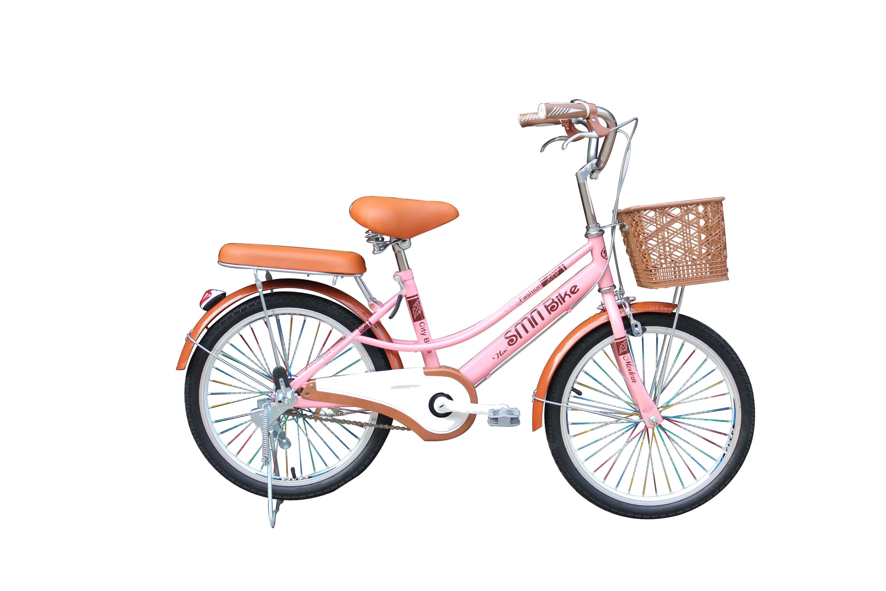 Xe đạp trẻ em SMNBike D 20-01 ( 20 inch )