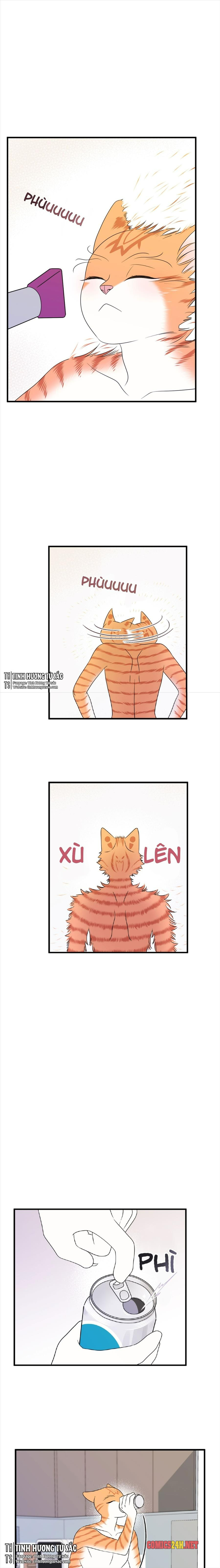 dự án xanh chapter 16 16