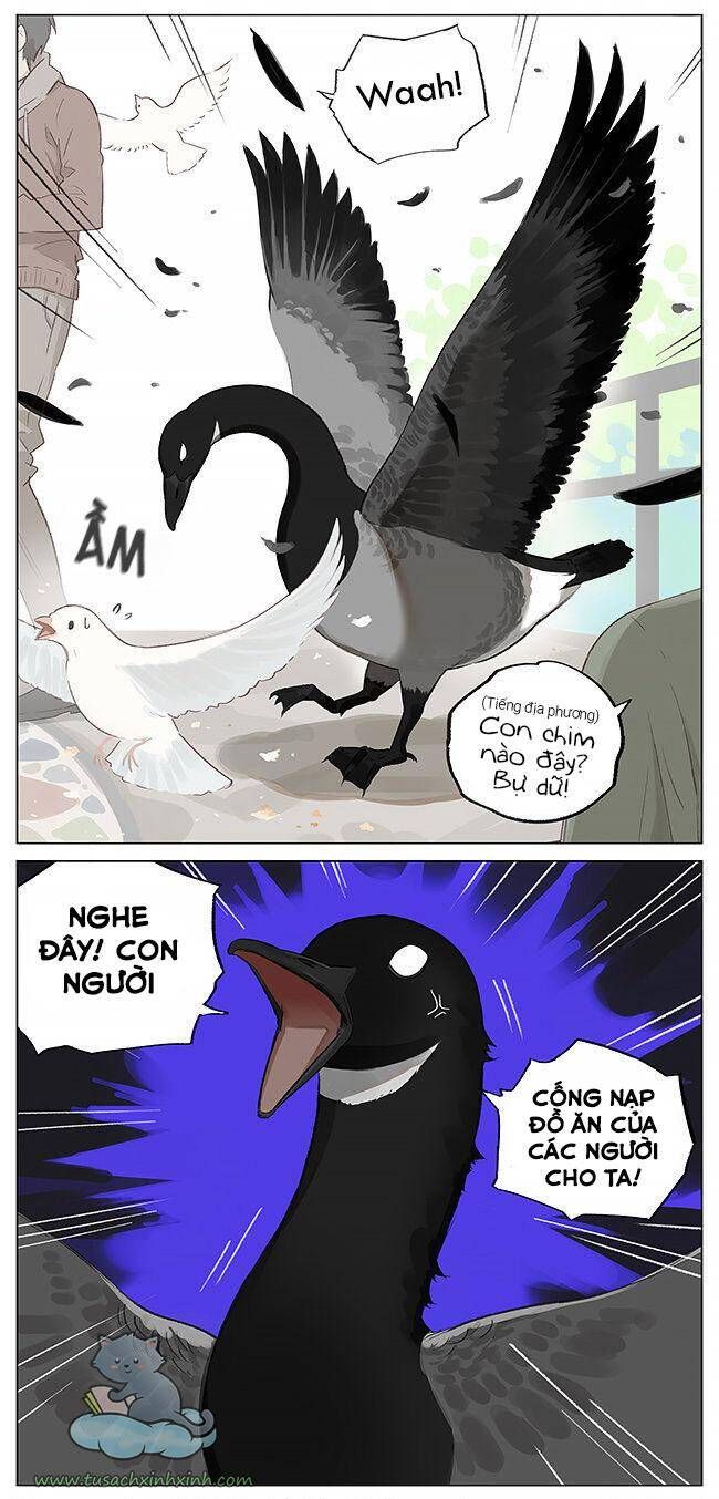 chim sẻ gọi ngỗng trời chapter 2 4