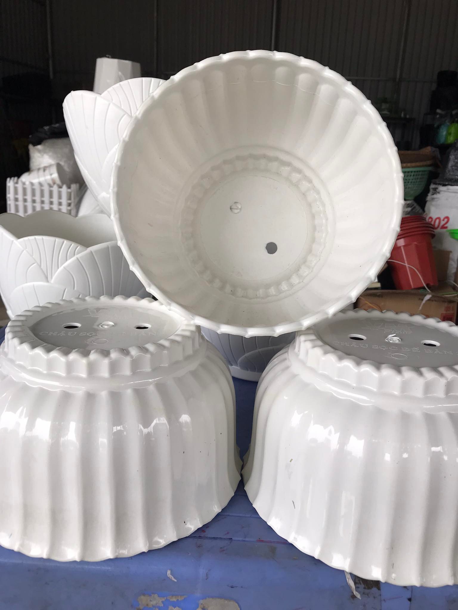 Chậu Nhựa Trồng Hoa Để Bàn Trắng Sọc Kt 24x14x16 cm
