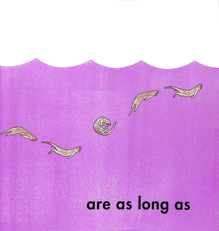How Long Is A Whale?