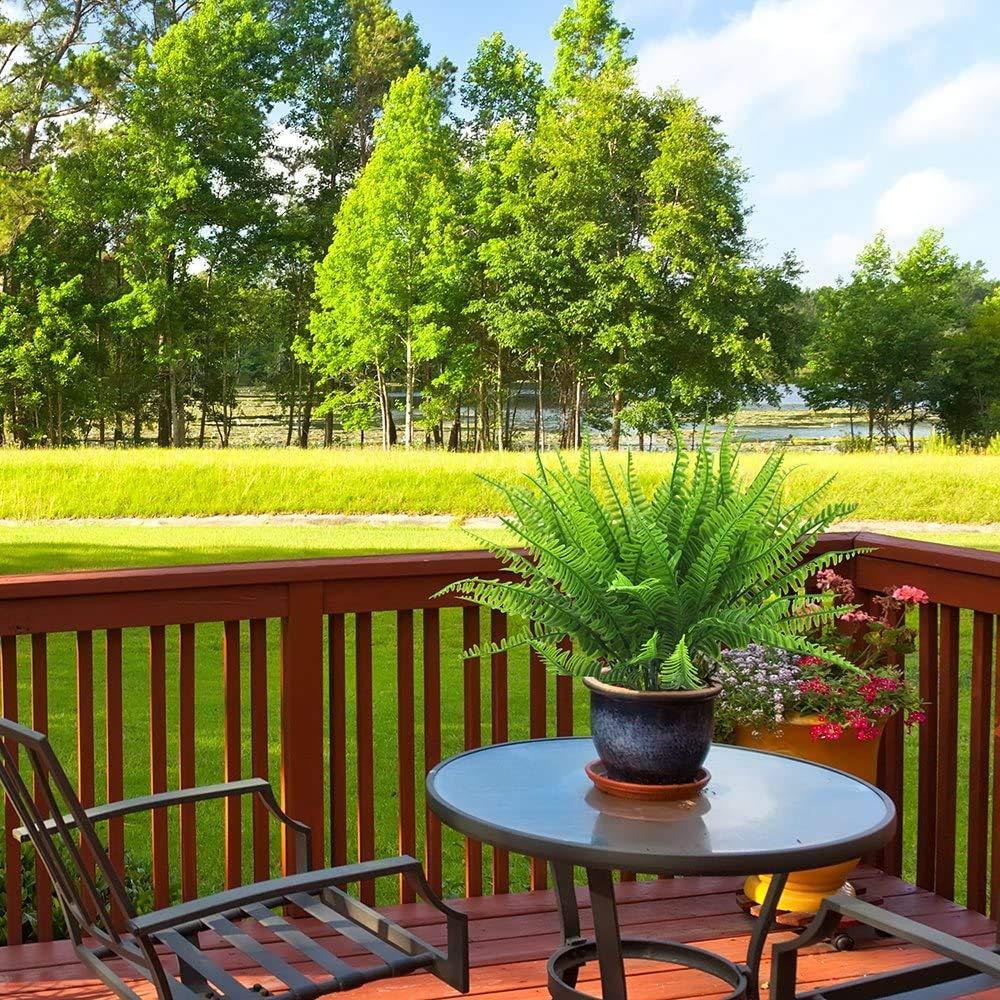 6 PCS Cây nhân tạo, Cây dương xỉ nhân tạo Boston Sai Boston để ăn BIT