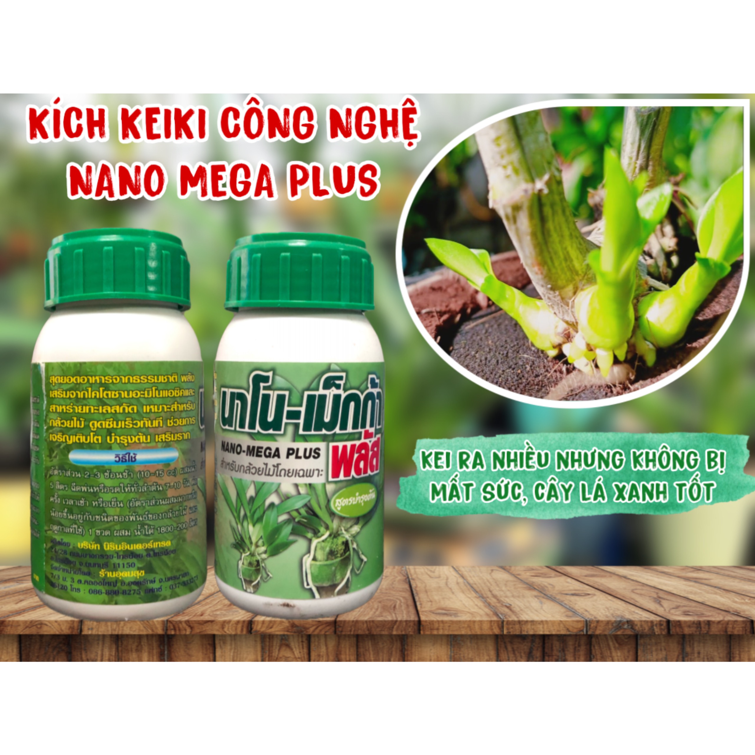 PHÂN BÓN NANO MEGA PLUS THÁI LAN RA RỄ, BẬT MẦM, PHỤC HỒI CÂY CHUYÊN DÙNG CHO HOA LAN, PHONG LAN - 250ML