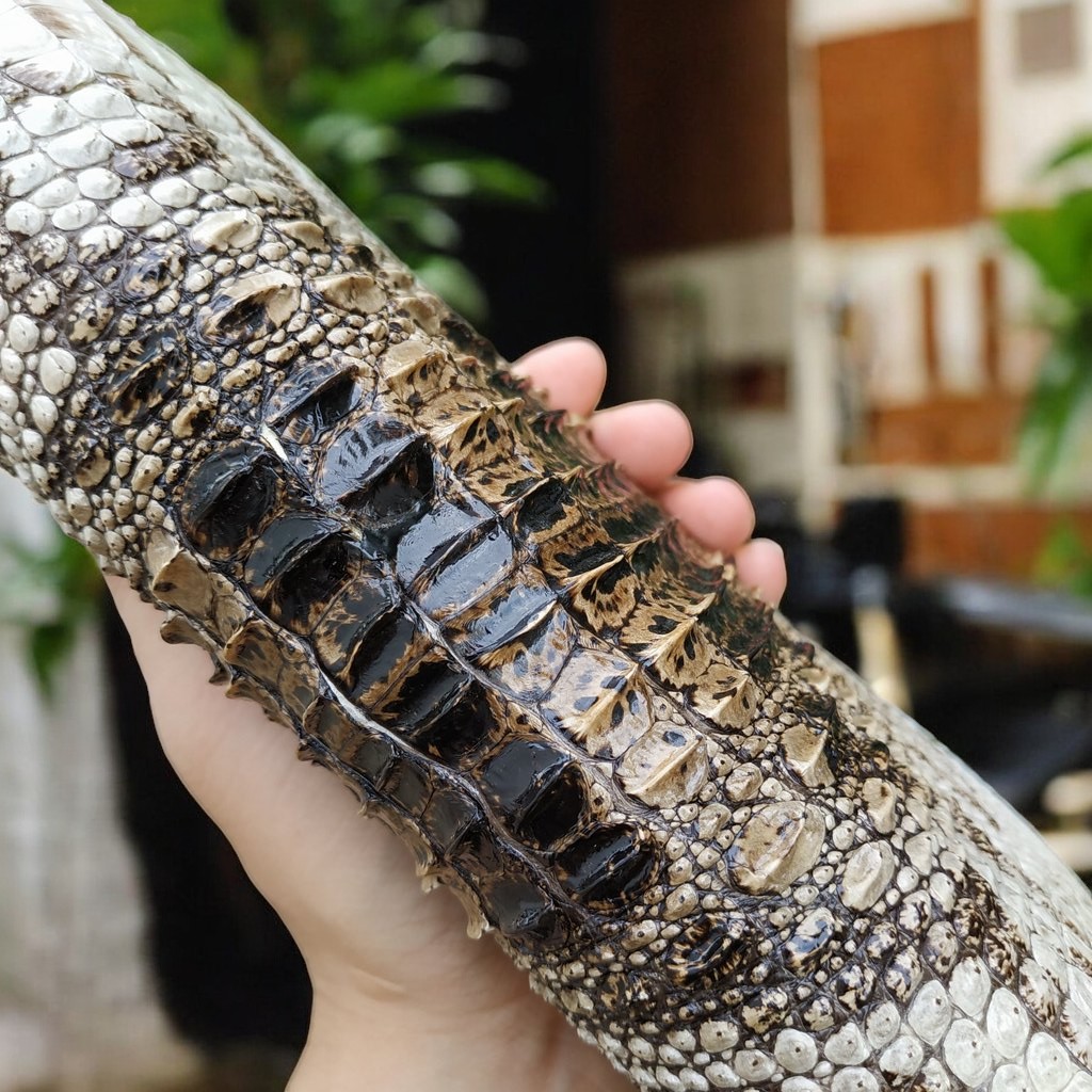 Ví dài cầm tay 2 khuôn size 21*11 cm đẹp khó cưỡng!