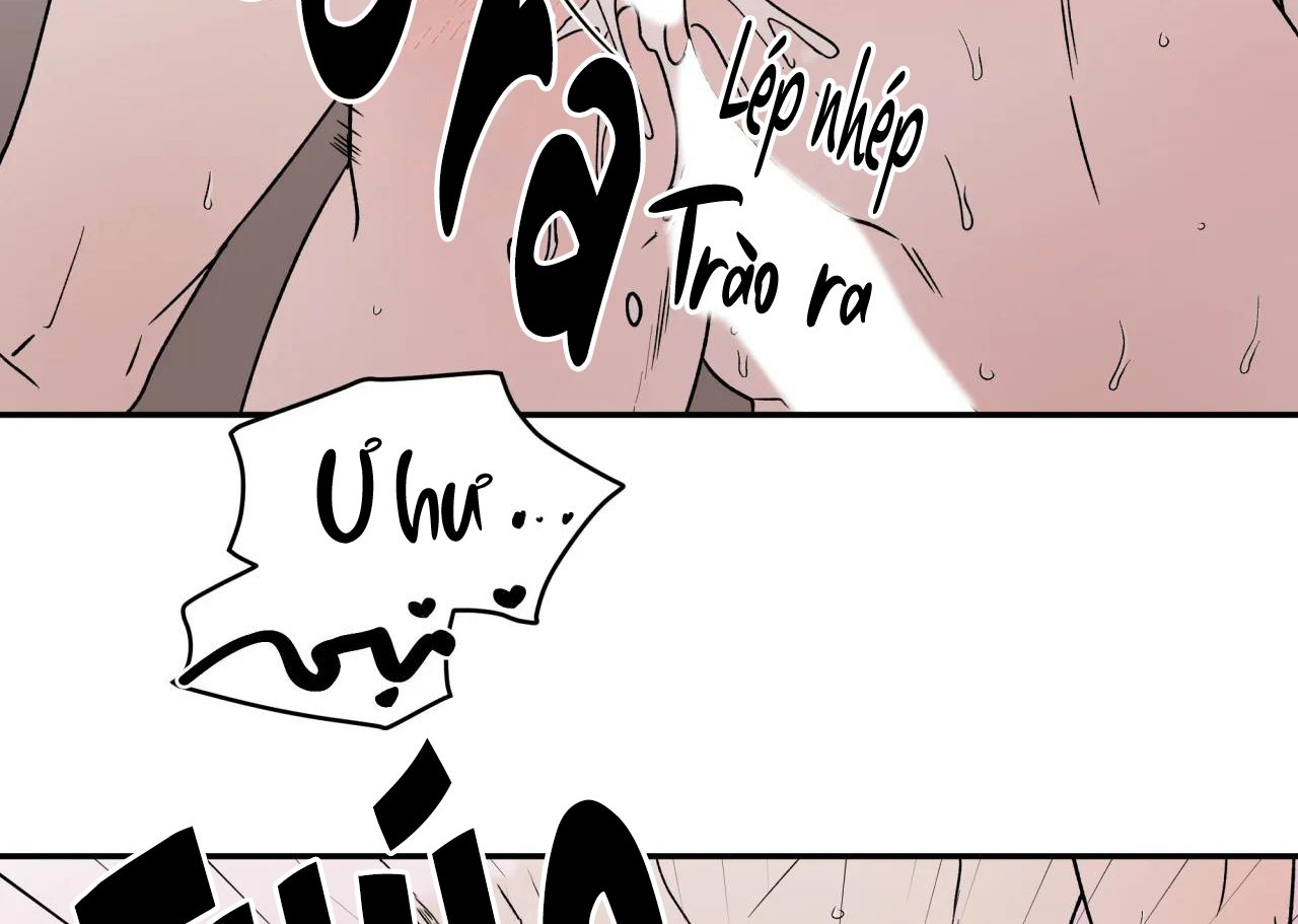 ám ảnh pheromone chapter 63 57