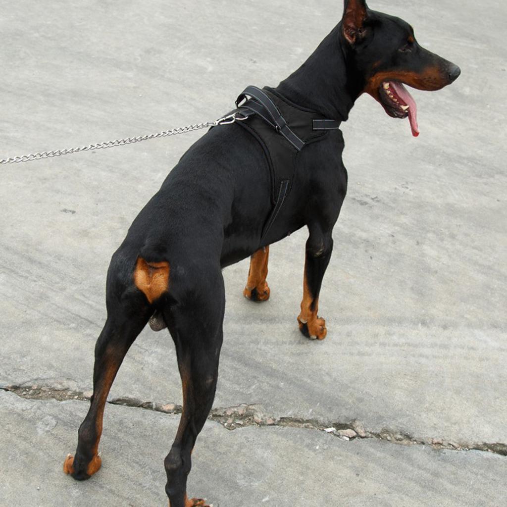 Pet Dog Saddle Vest Harness Chest Strap Padded Walking Harness