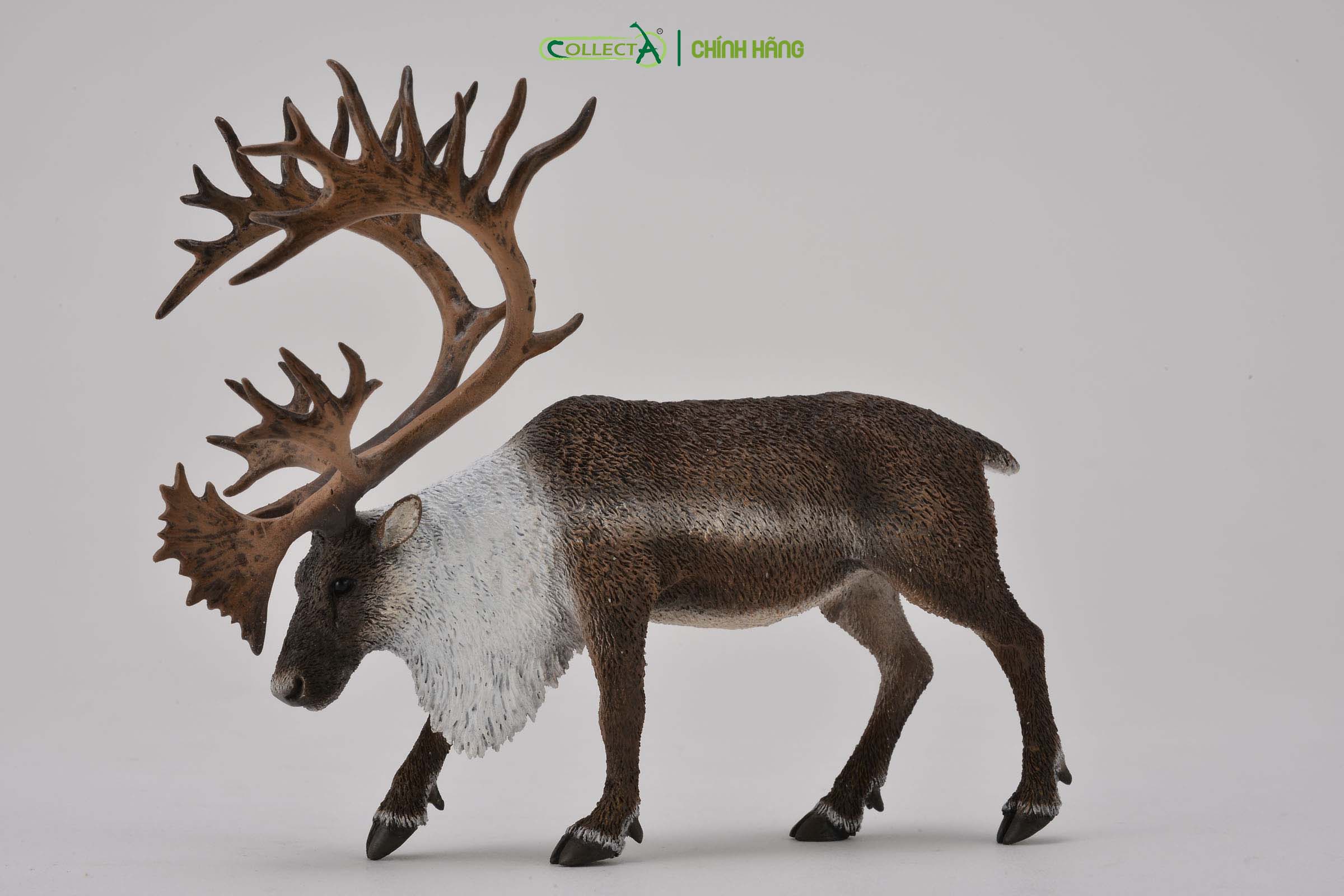 Mô hình thu nhỏ: Tuần Lộc - Woodland Caribou , hiệu: CollectA, mã HS 9651430[88709] -  Chất liệu an toàn cho trẻ - Hàng chính hãng