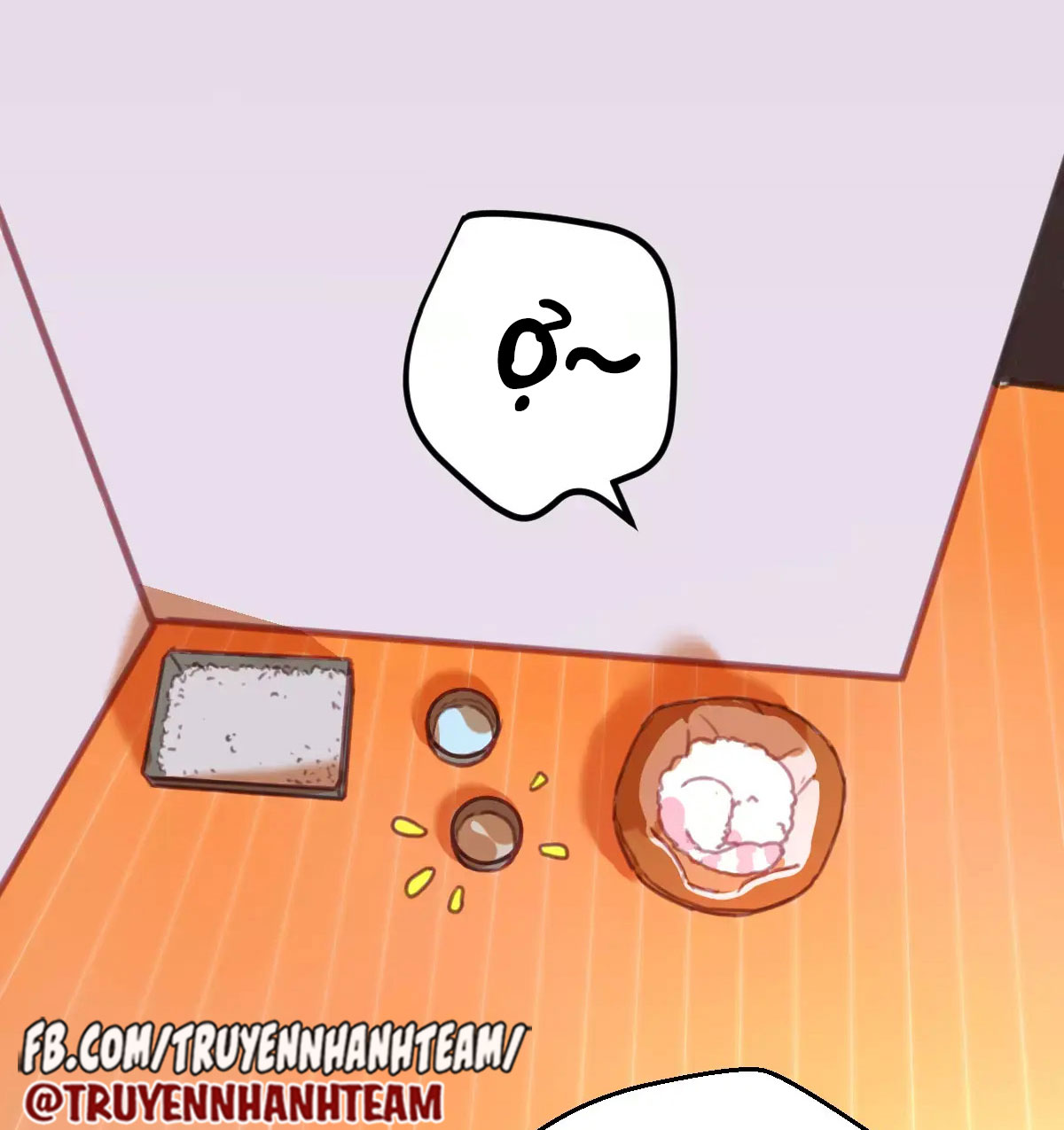 xã hội mèo chapter 2 21