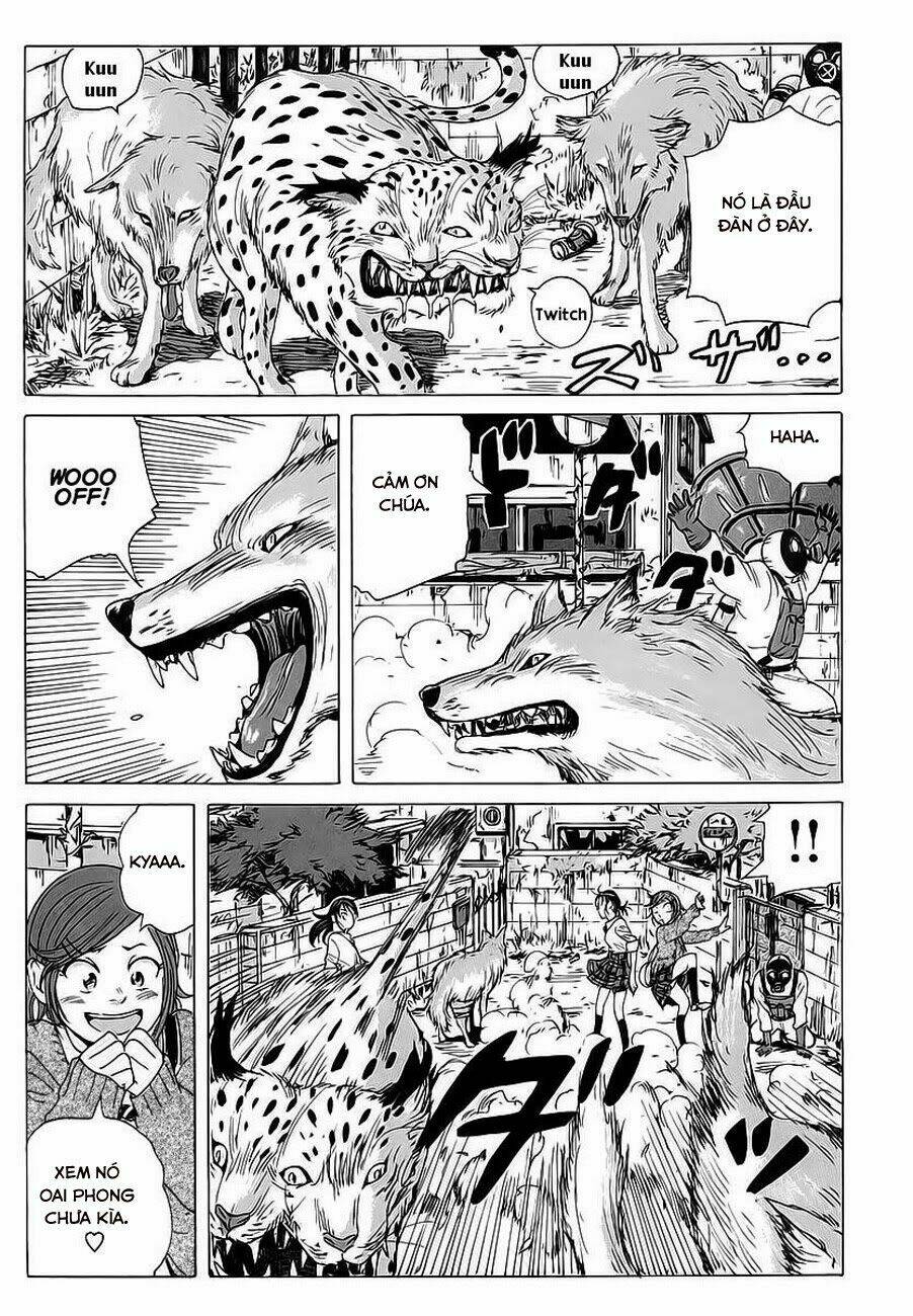 cúp quốc sư tử chapter 5 18