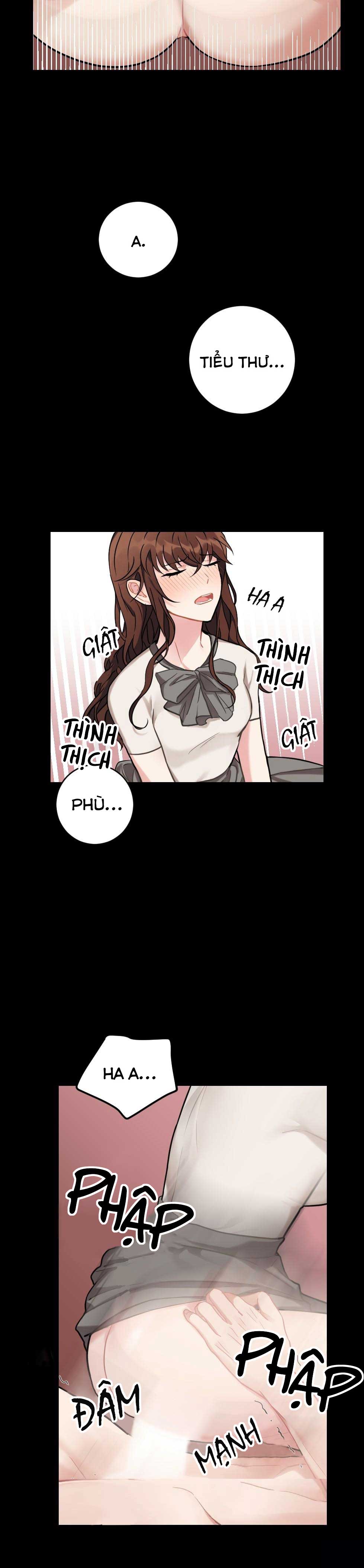 tiểu thư và dàn hầu nam mlem chapter 4 8