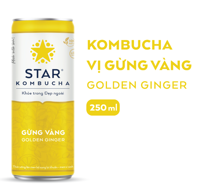 Lốc 6 lon thức uống lên men STAR KOMBUCHA Gừng Vàng / Golden Ginger (250ml/lon)