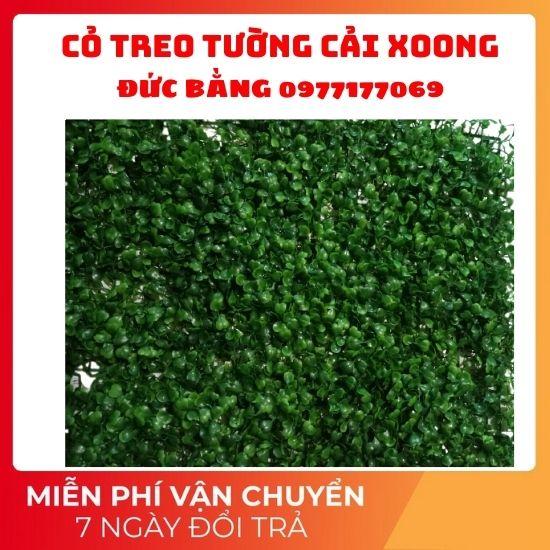 Cỏ nhân tạo treo tường cải xoong ,cỏ trang trí mắt châu rộng 40 x dài 60 tấm