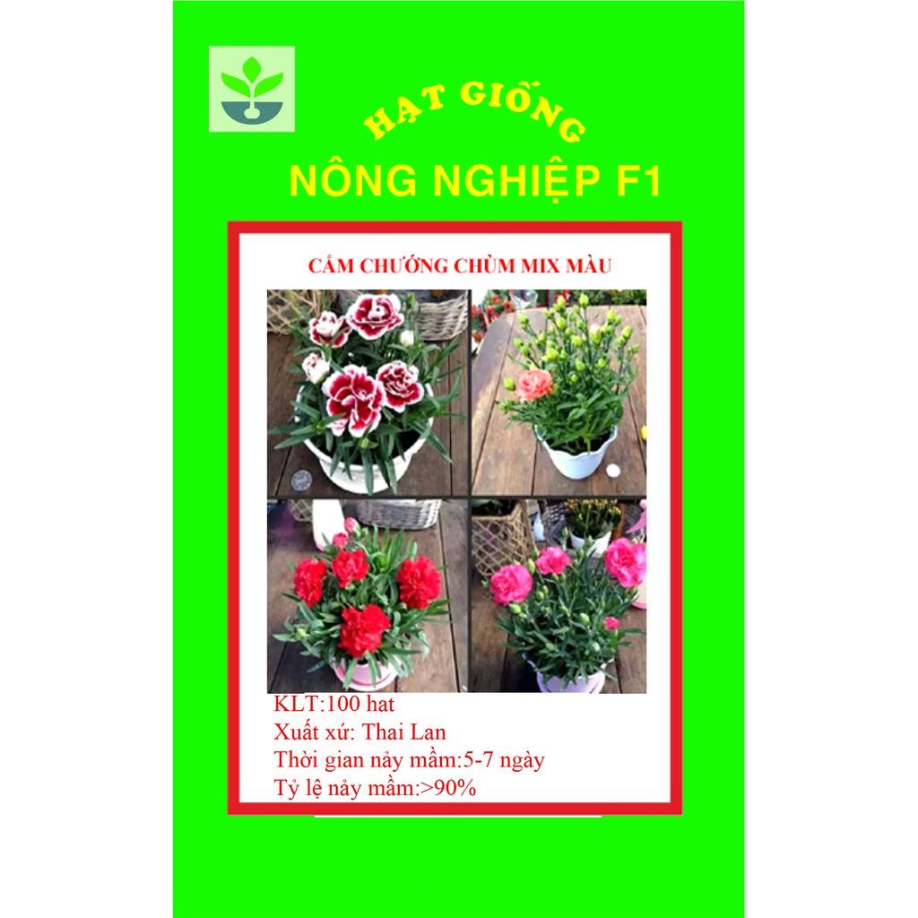 Gói 100 hạt giống hoa cẩm chướng chùm mix màu