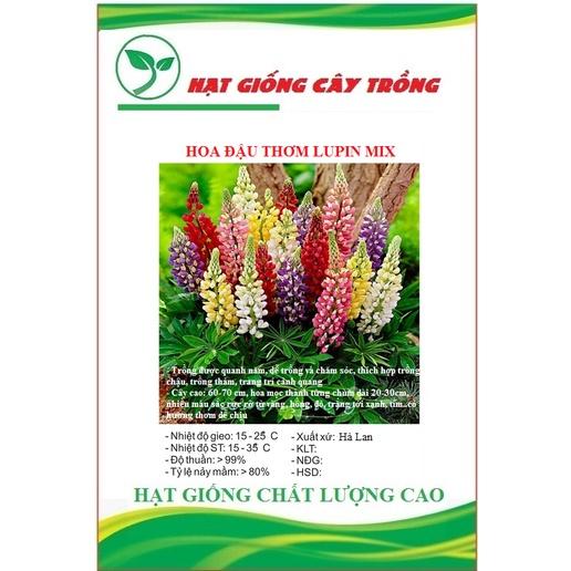 Hạt giống hoa đậu thơm lupin nhiều màu CT406 - Gói 50 hạt