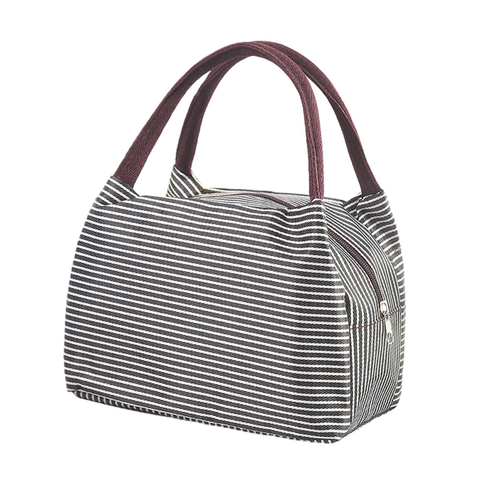 Portable Lunch Lunch Box with Handle Picnic Food Box Bags Large Capacity Lightweight Durable Portable Picnic Tote for Hiking Gym Fishing