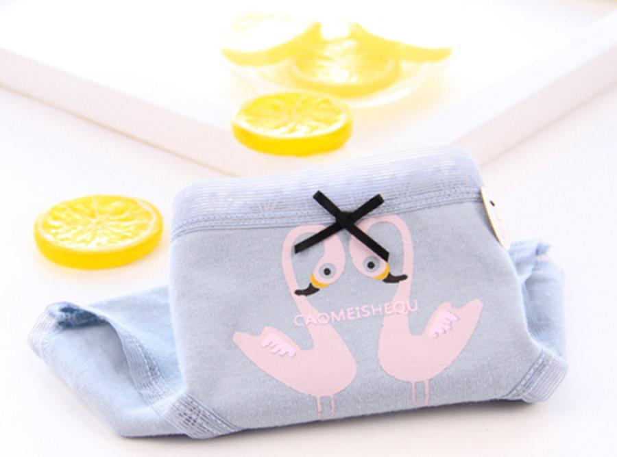 Set 5 quần chip nữ cotton siêu thoáng siêu xinh