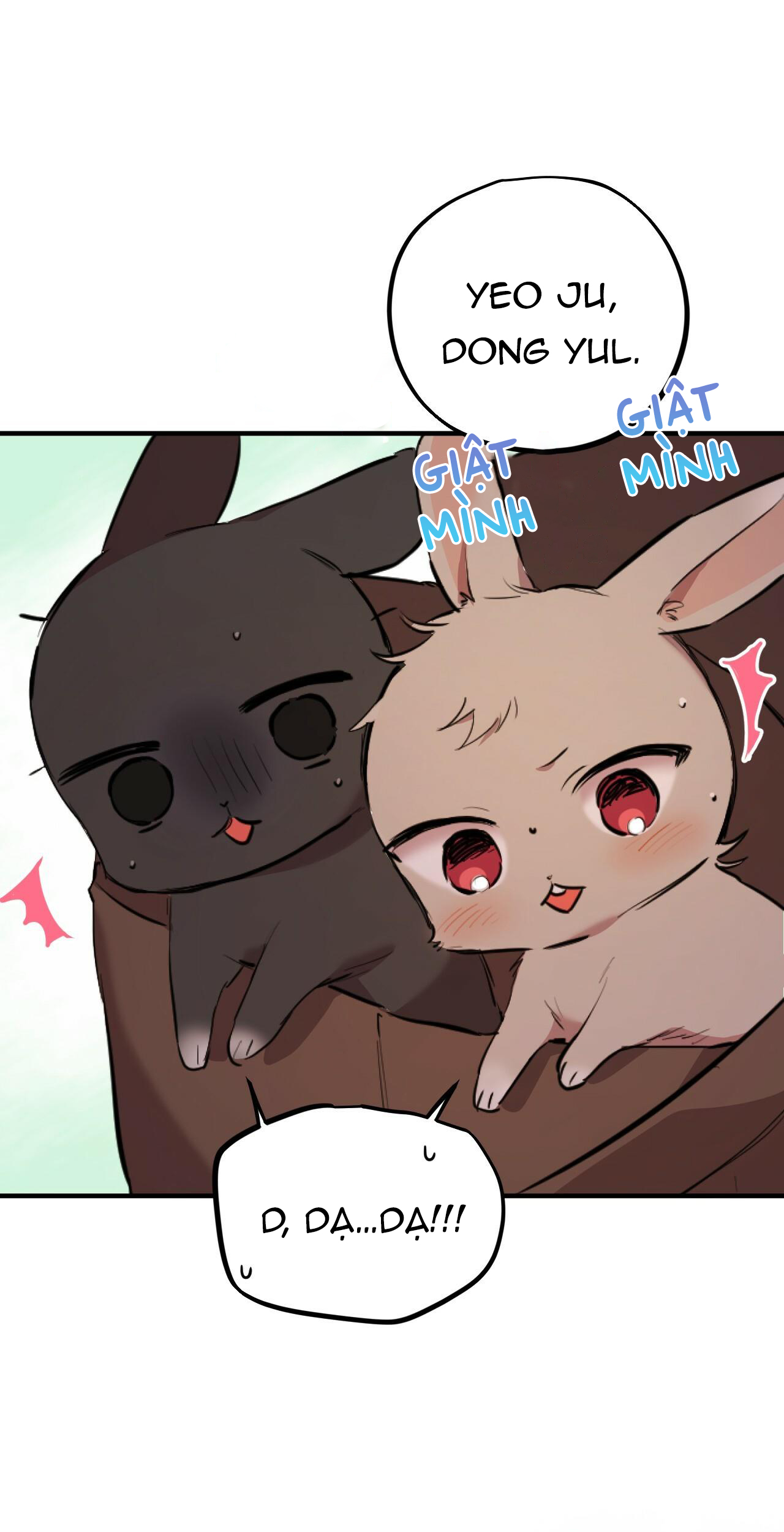 những chú thỏ của hapypy chapter 19 31