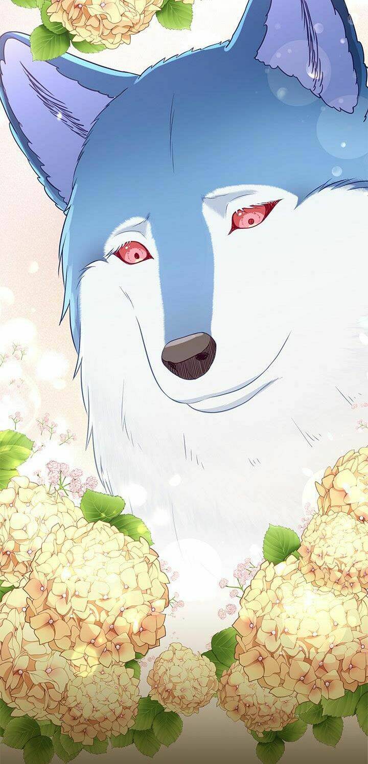 hãy coi chừng ác nữ chapter 95 43