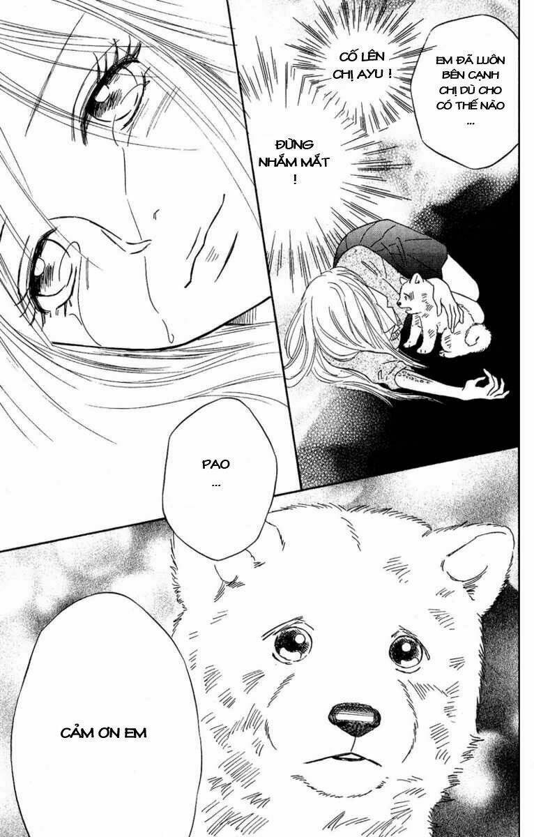 deep love - pao no monogatari chapter 11 31