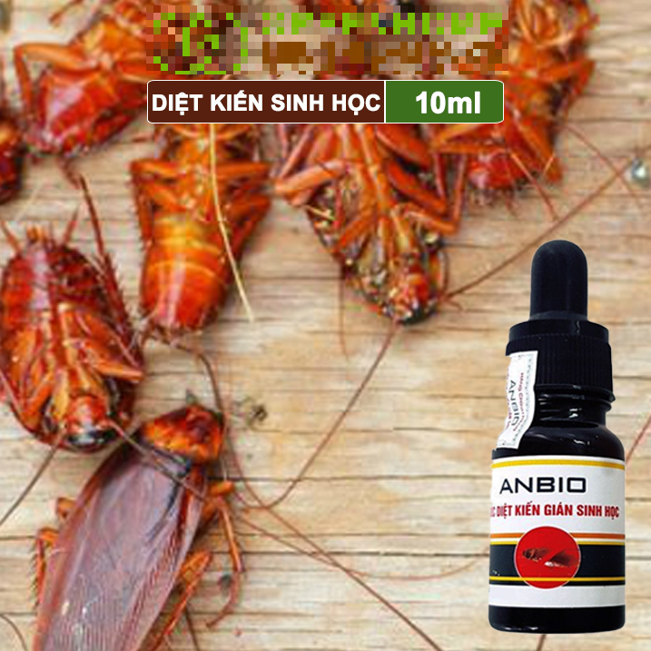 Chế Phẩm Diệt Kiến Gián Sinh Học Anbio Sử Dụng An Toàn Chai 10 ml