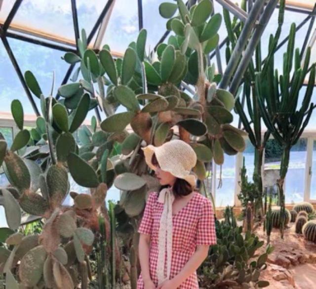 ️ Đầm caro cột eo cổ V đính hàng nút ️