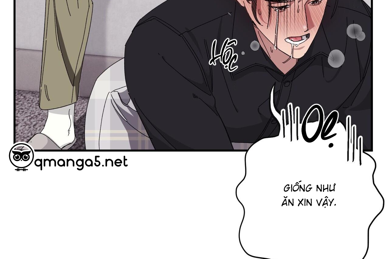 chàng dâu nhà họ kang chapter 34 136