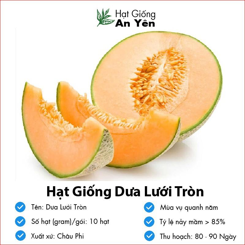 Hạt giống Dưa Lưới Vàng thu hoạch sớm, dễ trồng, nảy mầm cao, sinh trưởng khoẻ