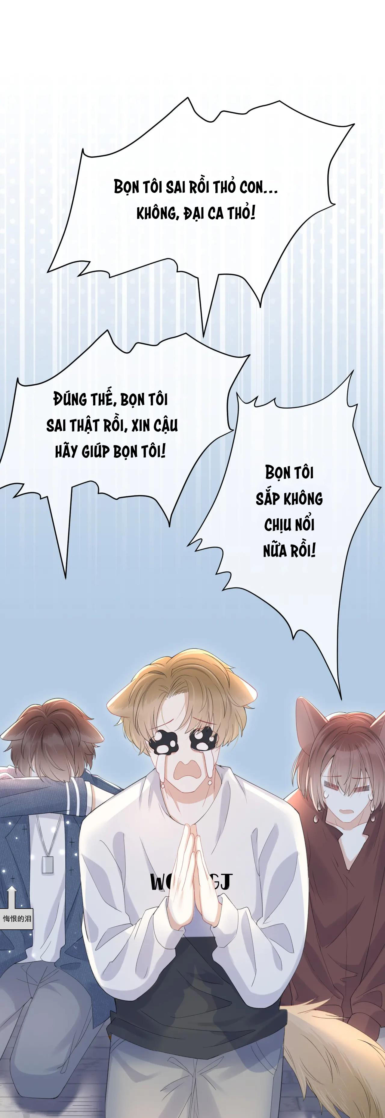 một miếng ăn sạch thỏ chapter 19 21