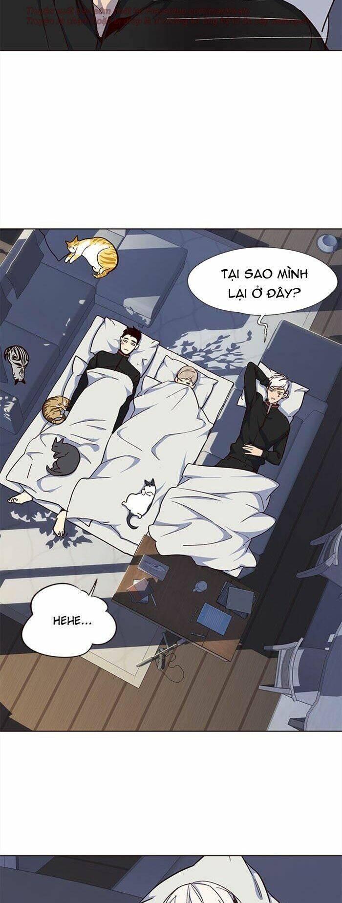 biến thân thành mèo chapter 35 40