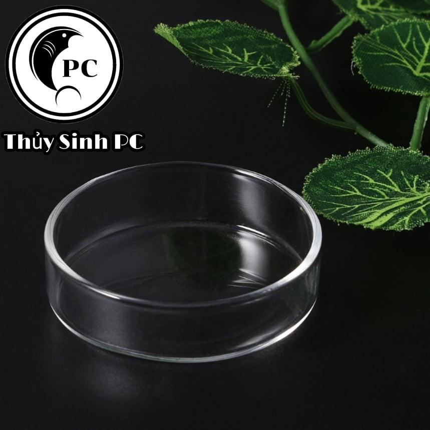 Khay , đĩa thức ăn cho cá ,tép thủy sinh bằng thủy tinh trong suốt - Phụ kiện chứa , đựng thức ăn cá tép cảnh giá tốt