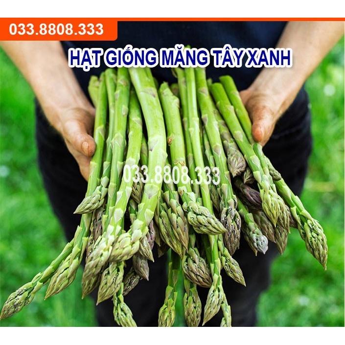 HẠT GIỐNG MĂNG TÂY XANH ĐÀI LOAN - NĂNG SUẤT CAO