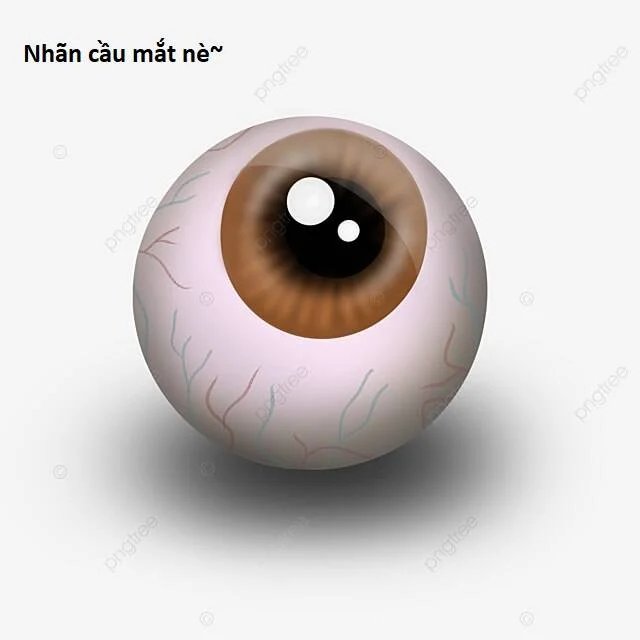 sự lụi tàn của usuzumi chapter 88 61