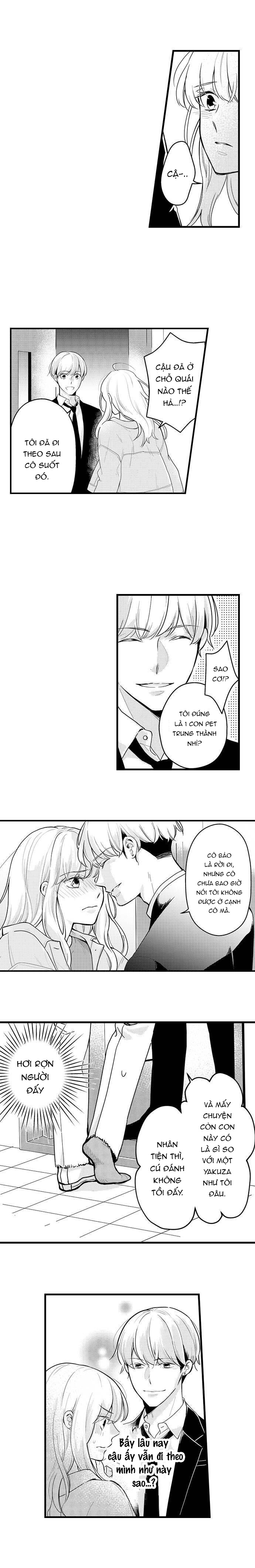 pet nhà tôi là yakuza chapter 18.1 5