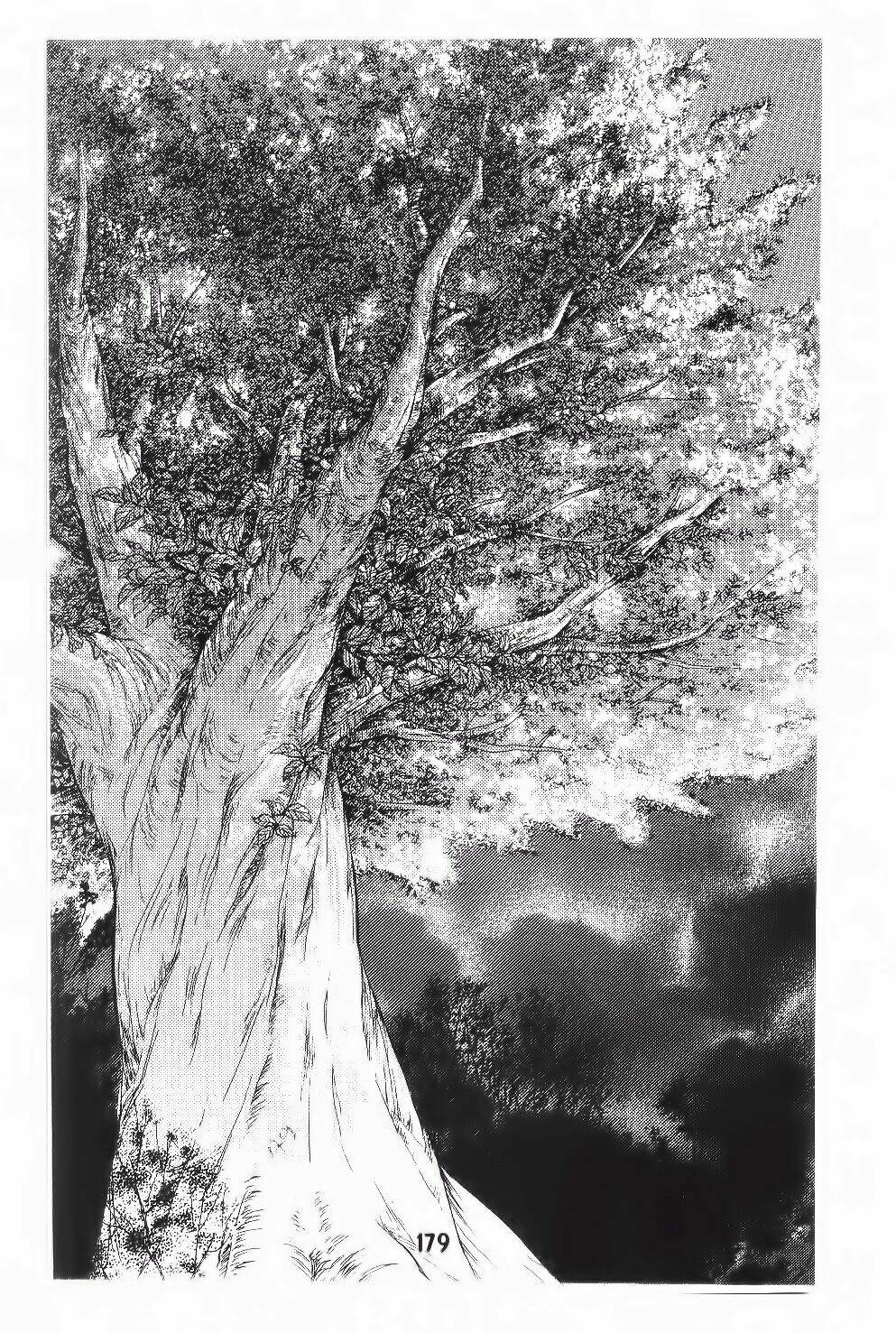 tôi là yamada zenjiro chapter 19 105